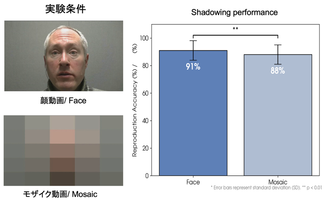 図1. 顔が見えるとシャドーイングの再現精度が向上
