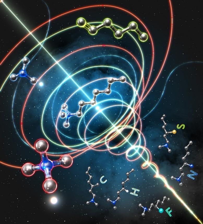 豊富に存在するアルケンから高価値な第3級アミンを作る新技術