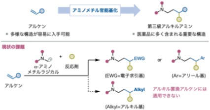 図2：アルケンのアミノメチル官能基化における課題。