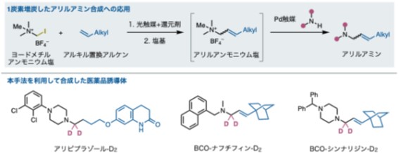 図4：開発した反応を応用することで１炭素増炭したアリルアミンの合成も達成した。これを利用することで医薬品分子の誘導体合成が可能であることも明らかにした。