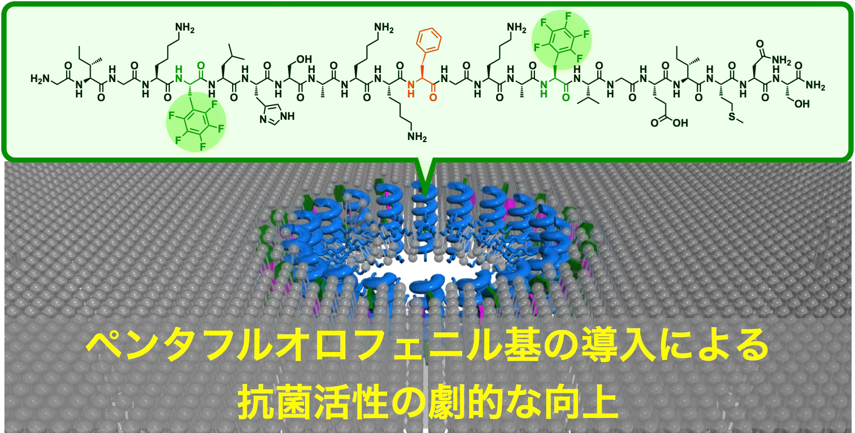 ペンタフルオロフェニル基の導入による抗菌活性の劇的な向上