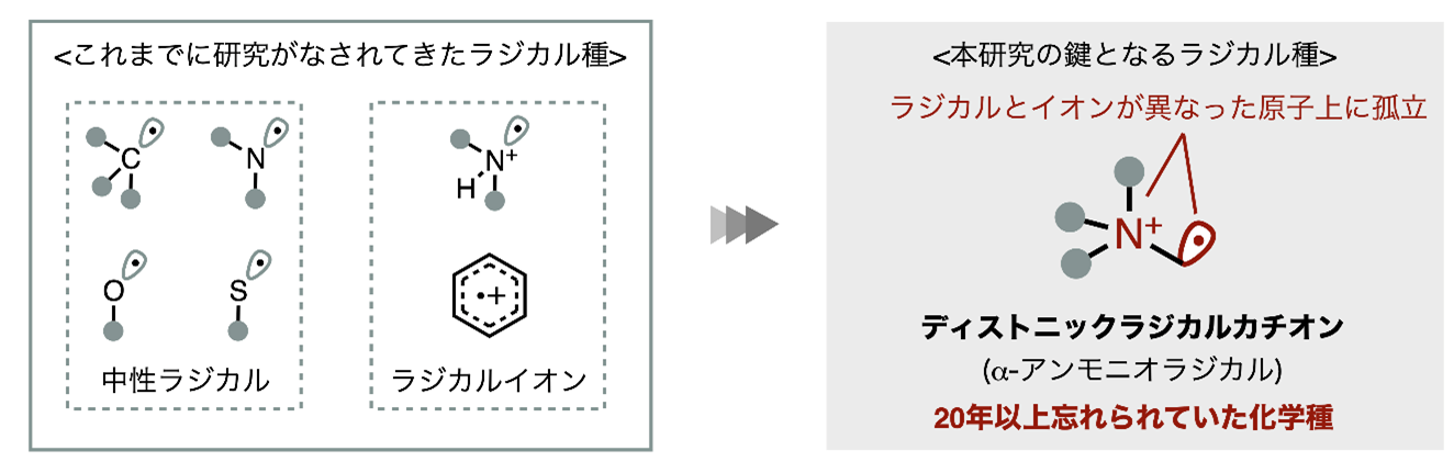 図2