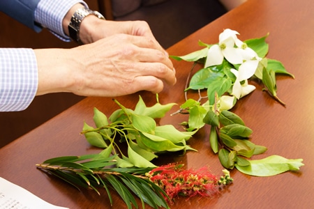 西宮聖和キャンパスに植えられている植物