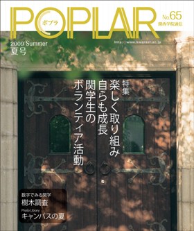 65号 POPLAR