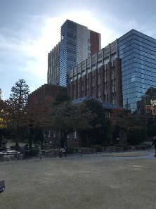 大学