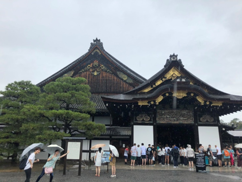 雨に濡れる二条城(左下に注目^^)