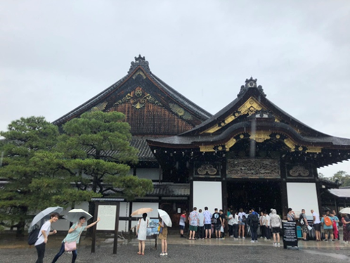 雨に濡れる二条城（左下に注目^^）