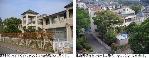 乳幼児保育センター2