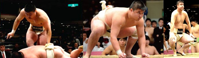 相撲部