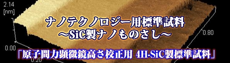 ナノものさし