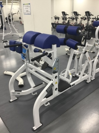 ｸﾞﾙｰﾄﾊﾑﾌｨｯｸｽﾊﾟｯﾄ_lifefitness