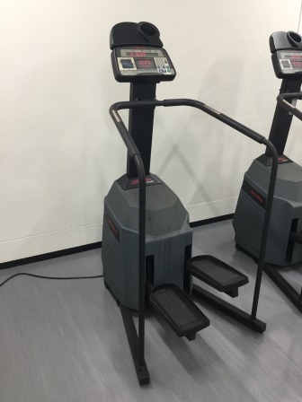 ｽﾃｱｸﾗｲﾏｰ_lifefitness