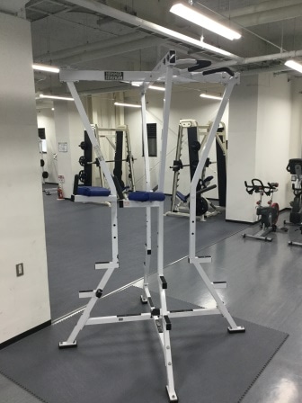 ﾁﾝﾃﾞｨｯﾌﾟ_lifefitness