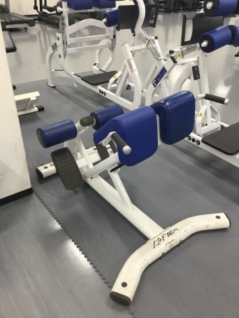 ﾊﾞｯｸｴｸｽﾃﾝｼｮﾝ_lifefitness