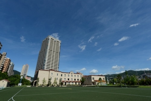 グラウンドからの全景