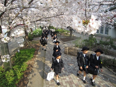 「入学、進級おめでとう」