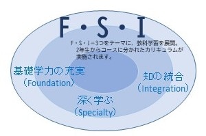 FSI