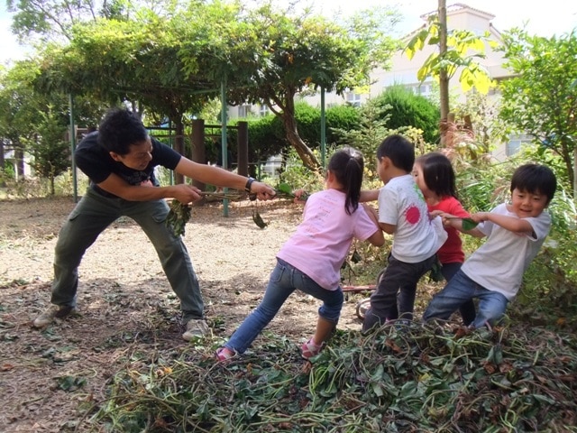 関西学院幼稚園 今日の子どもたち サツマイモの蔓の遊び