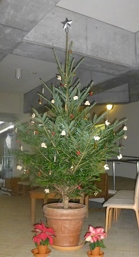 クリスマスツリー