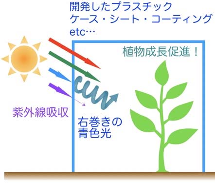 開発したプラスチックの概念図