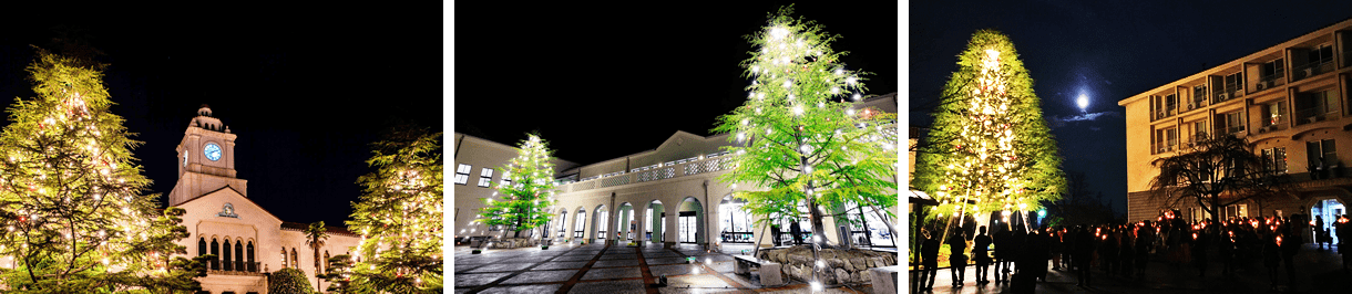 各キャンパス 点灯後のツリー （左）西宮上ケ原、（中央）神戸三田、（右）西宮聖和
