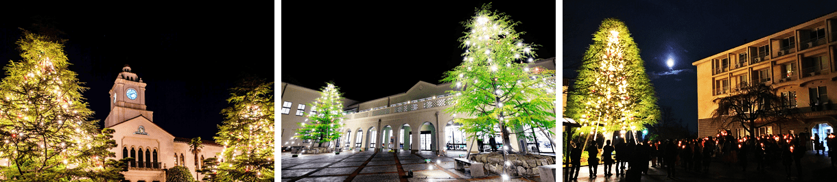 各キャンパス 点灯後のツリー (左)西宮上ケ原、(中央)神戸三田、(右)西宮聖和