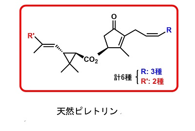 除虫菊の天然殺虫成分 完全化学合成に成功 田辺陽 理工学部教授らのグループ 関西学院大学 除虫菊の天然殺虫成分 完全化学合成に成功 田辺陽 理工学部教授らのグループ 関西学院大学