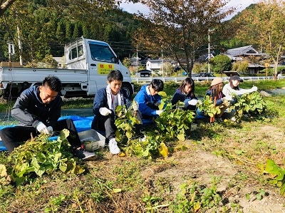 栗田研究会農業班の活動