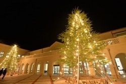 過去の様子(クリスマスツリー点灯式)