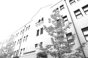 国際学部