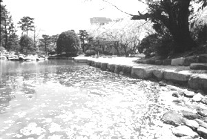 日本庭園