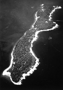 青島
