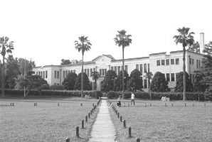 文学部