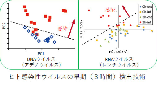 ヒト感染症ウイルスの早期(3時間)検出技術