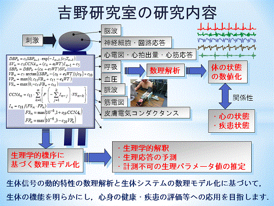 研究内容の図