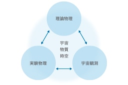 研究領域