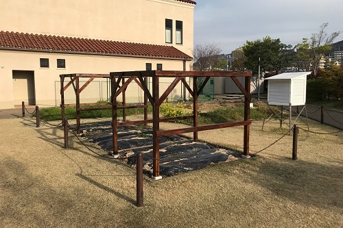 2019年4月12日 ヘチマの棚｜関西学院初等部 Kwansei Gakuin Elementary School