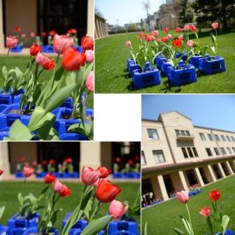 14年3月31日 チューリップ 関西学院初等部 Kwansei Gakuin Elementary School
