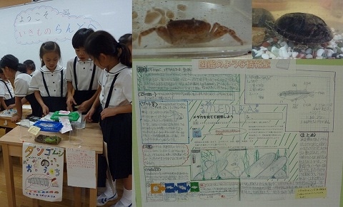 ようこそ、生き物ランドへ!