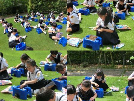 あさがおのたねをうえたよ
