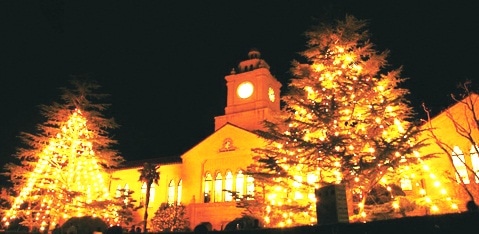 大学（上ヶ原キャンパス）のクリスマスツリー