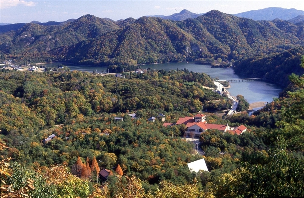 キャンプ場全景