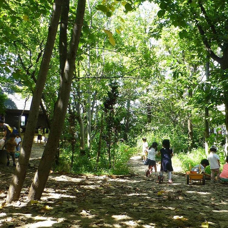 学院 幼稚園 関西