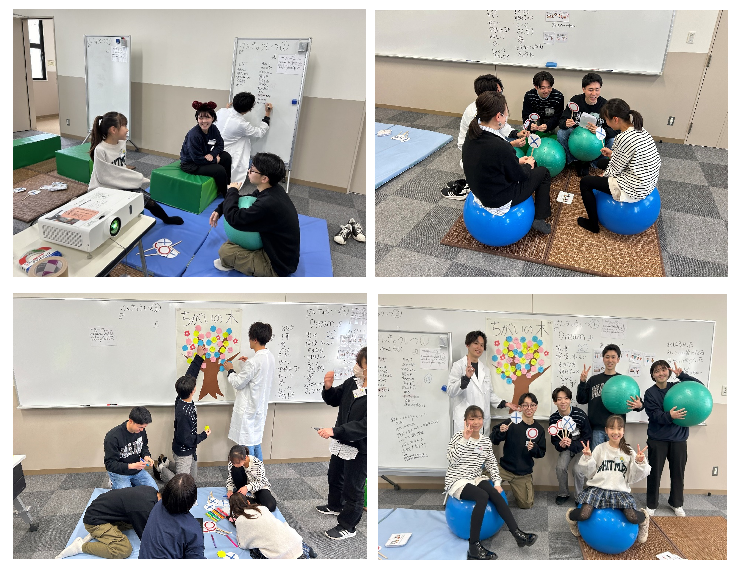 DISE(diversity.international.SDGs.Education)