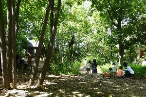 関西学院 幼稚園