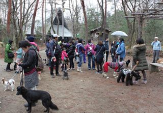 Dog Rights 写真1