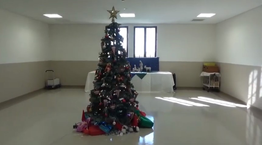 国際学部クリスマスツリー