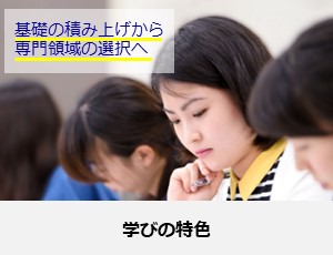 学びの特色