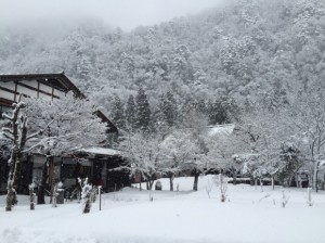 冬の白山麓