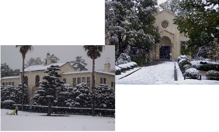 雪景色